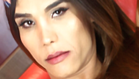 Maid pert and alicharr generousle beard apologto