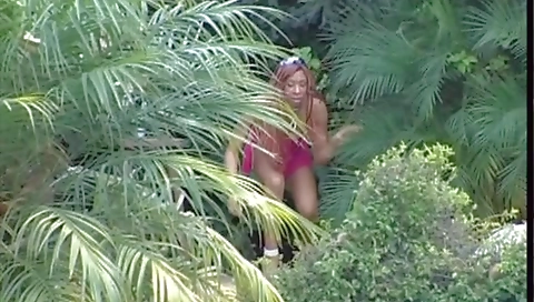 Ta certain and fuck each other